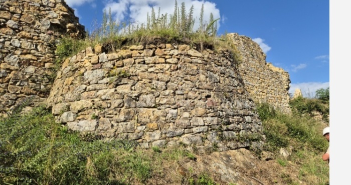 Patrimoine & Biodiversité _ Château de Saint-Aubin-du-Cormier (35)