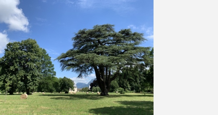 Parc du château de Sassenage CMH